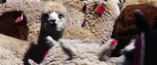 Passport to the World - Bolivia: From the Altiplano to the Amazon - Trailer Video Thumbnail