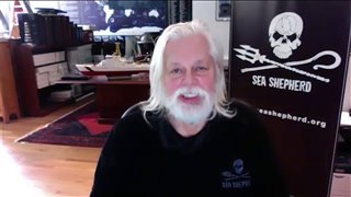 Paul Watson reveals how we can all help save the environment - Interview Video Thumbnail