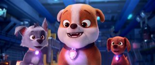 PAW PATROL: THE MIGHTY MOVIE Clip - "Pups Get Their Powers"