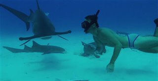Sharkwater Extinction - Live Stream Announcement Trailer Video Thumbnail