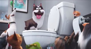 The Secret Life of Pets - Super Bowl TV Spot Video Thumbnail