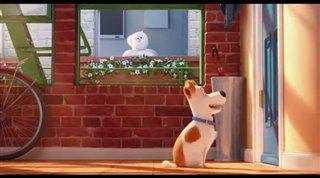 The Secret Life of Pets - Teaser Trailer Video Thumbnail