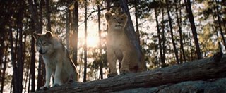 THE WOLF AND THE LION Trailer Video Thumbnail